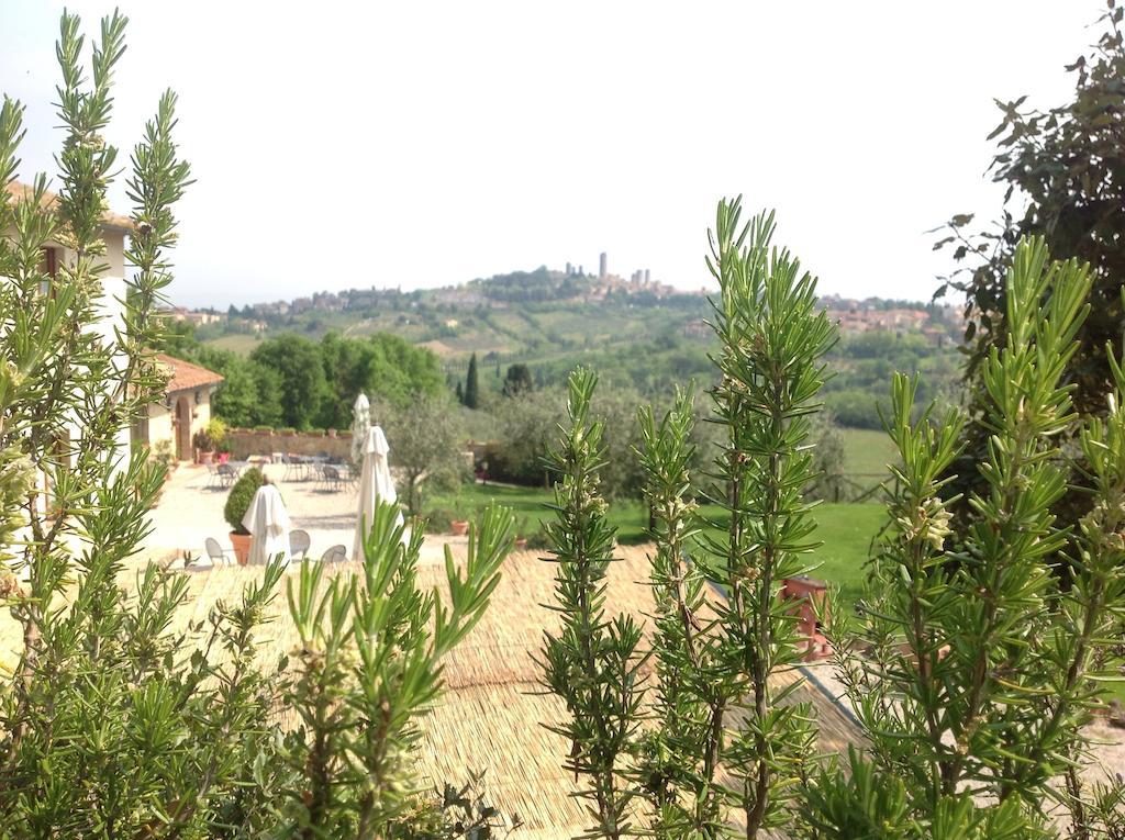 Podere Sant'Elena San Gimignano Eksteriør bilde